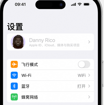 竹根滩镇appleID维修服务iPhone设置中Apple ID显示为灰色无法使用 