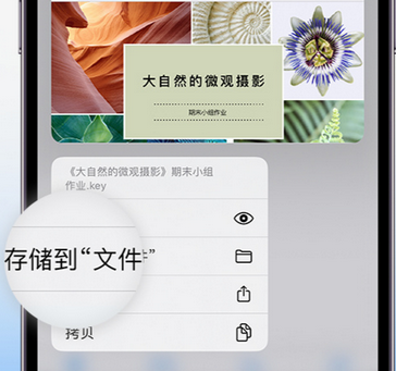 竹根滩镇apple维修中心分享iPhone文件应用中存储和找到下载文件