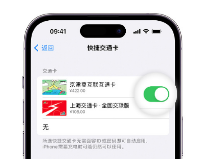 竹根滩镇apple维修点分享iPhone上更换Apple Pay快捷交通卡手绘卡面 