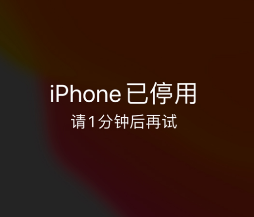 竹根滩镇苹果手机维修分享:iPhone 显示“不可用”或“已停用”怎么办？还能保留数据吗？ 