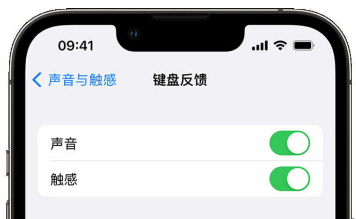 竹根滩镇苹果手机维修分享iPhone 14触感键盘使用方法 