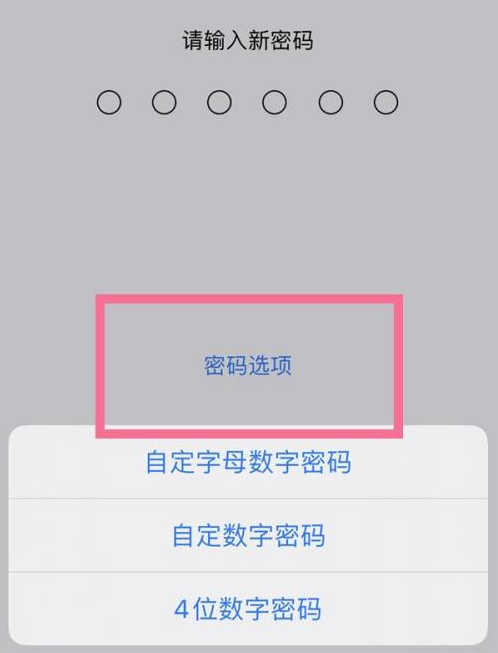 竹根滩镇苹果14维修分享iPhone 14plus设置密码的方法 