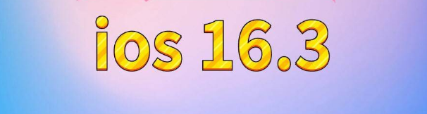 竹根滩镇苹果服务网点分享苹果iOS16.3升级反馈汇总 