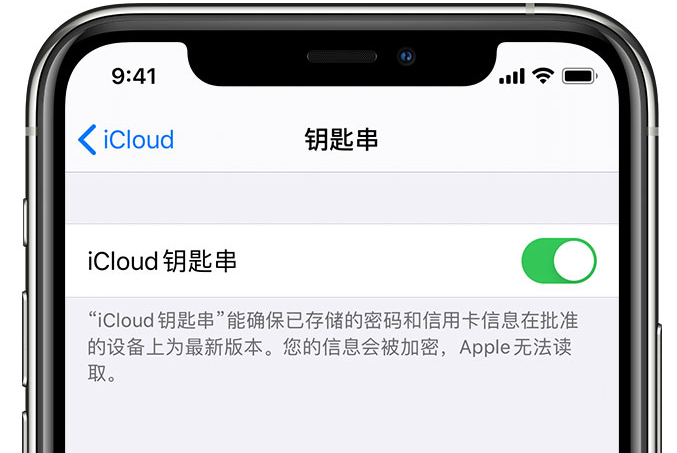 竹根滩镇苹果手机维修分享在 iPhone 上开启 iCloud 钥匙串之后会储存哪些信息 