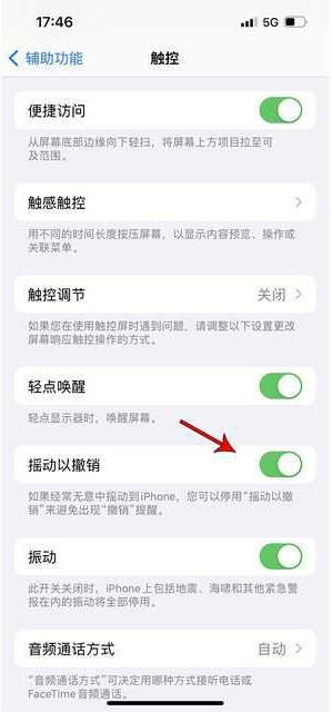 竹根滩镇苹果手机维修分享iPhone手机如何设置摇一摇删除文字 